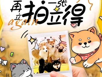 Shiba Kyouyuu • Shiba Inu Theme Park • Shiba Cat Cafe (1733 Store)