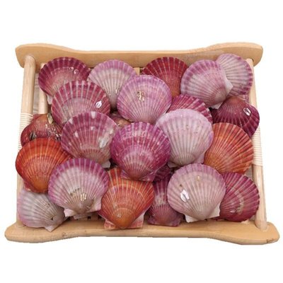 No. 6 Seafood