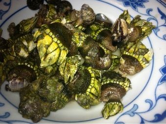 Nanguan Bridge Seafood Big Star