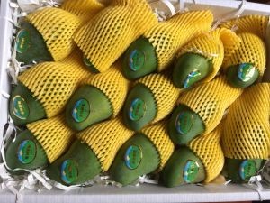 Lekou Fresh Food (Wai Tan Branch)