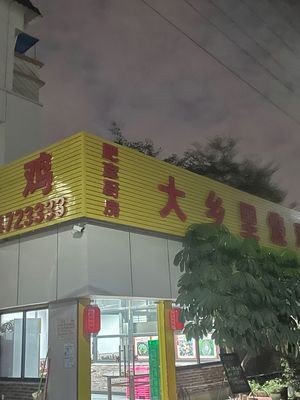 Daxiangli Roast Chicken