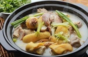 Fujii Pork Belly Chicken Soup (Shatian Branch)