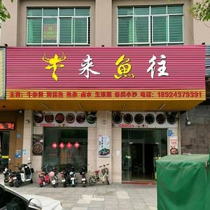 Cow Comes Fish (Sha Tin Store)