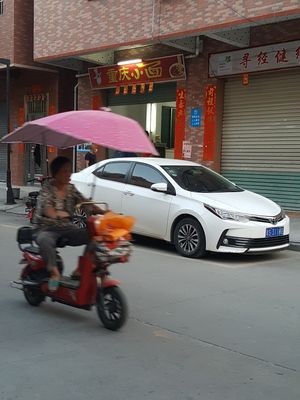 Chongqing Small Noodles
