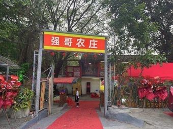 Qiang Ge Farm