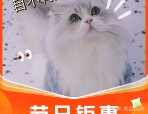 Mu Qiao Cat Cafe & Pet Shop (Guanggu Branch)