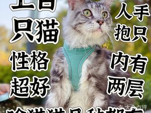 Treehole Cat Cafe (Guanggu Branch)