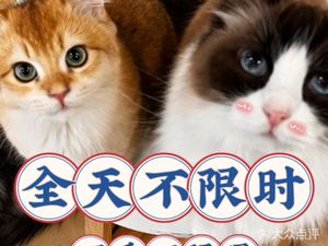 Cat Society Cat Cafe (Guanggu German Street Branch)