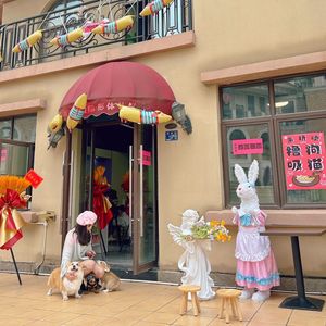 Wangcai Home · Dog Café · Medium-Sized Dogs (Spanish Style Street Branch)