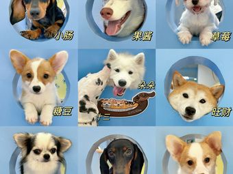 Dog & Cat Cafe · Wangcai Family (Milan Impression Branch)