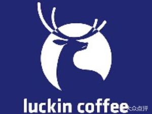 Luckin Coffee (Wuhan Shijiecheng Guanggu Pedestrian Street Store)