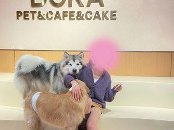 DOKA Pet-Friendly Café