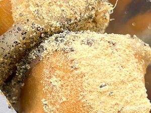 Fried Dough Wrapped in Sticky Rice with Red Sugar Dumplings