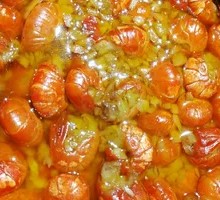 Garlic Shrimp Tails
