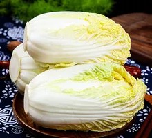 Napa cabbage