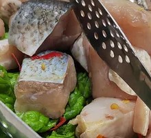 Fish Meat