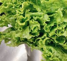 Lettuce