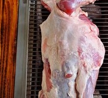Dorper Lamb Leg