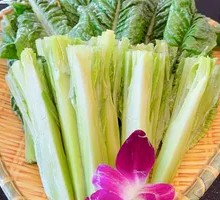 Air-freighted lettuce tips
