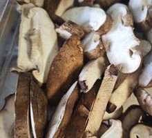 Shiitake Mushroom
