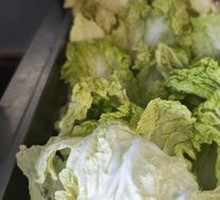 Chinese cabbage