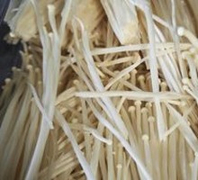 Enoki Mushroom