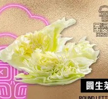 Romaine lettuce