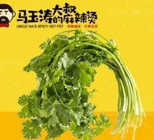 Cilantro