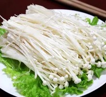 Enoki Mushroom