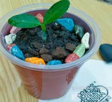 Potted Frozen Yogurt