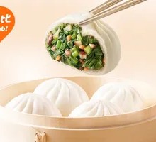 Bamboo Shoot and Chinese Cabbage Dumplings