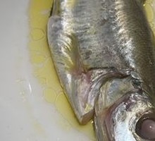 Chicken Broth White Fish
