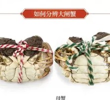 How to Tell Male Crab from Female Crab