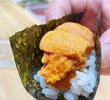 Live Sea Urchin