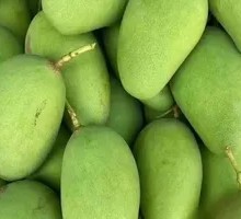Sour Mango