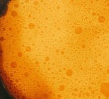 Indian-style Curry Base