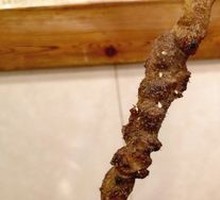 Lamb Skewers with Red Willow
