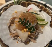 North Korean Imperial Scallop