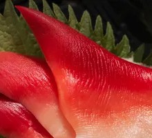 Arctic Scallop Sashimi
