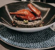Signature Pigeon