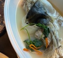 Signature Pufferfish