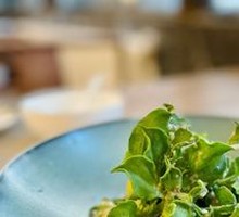 Organic South African Ice Plant