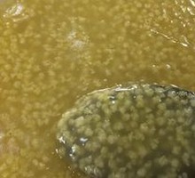 Rice Porridge