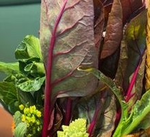 Mixed Fresh Vegetable Platter