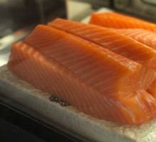 Salmon