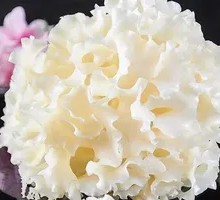 Enoki Mushroom