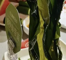 Kelp