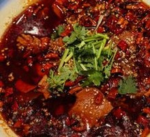 Premium Maoxuewang