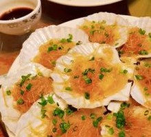 Scallop