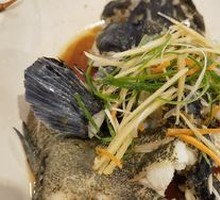 Steamed Grouper